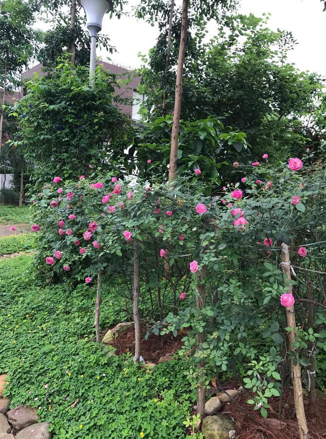 Flamingo Dailai - Hq Villa Ngoc Quang 外观 照片