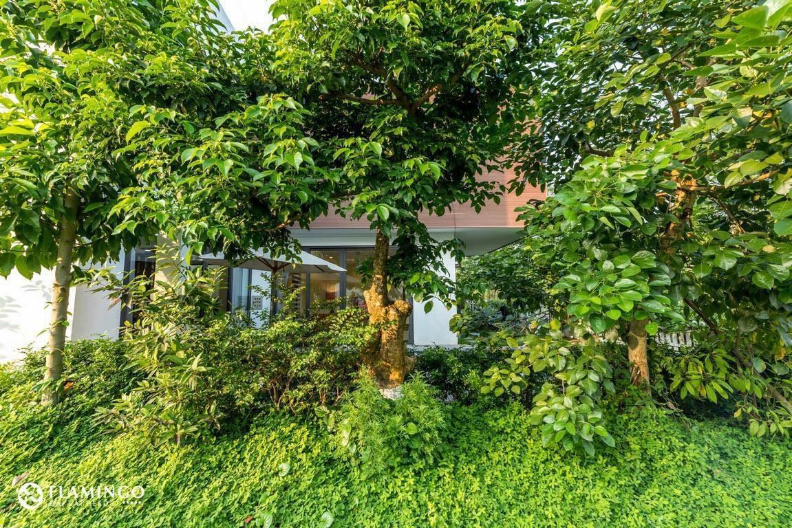 Flamingo Dailai - Hq Villa Ngoc Quang 外观 照片