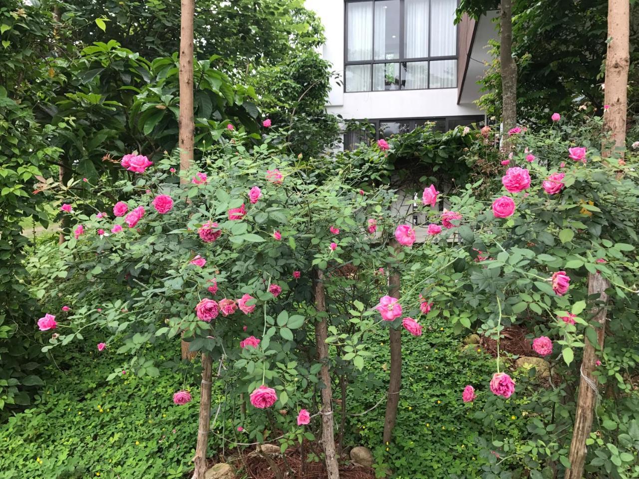 Flamingo Dailai - Hq Villa Ngoc Quang 外观 照片